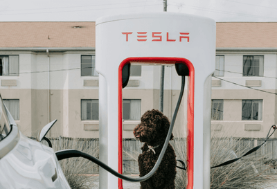 Fast-Charging EV Stations Compared: Which Network Is the Best?